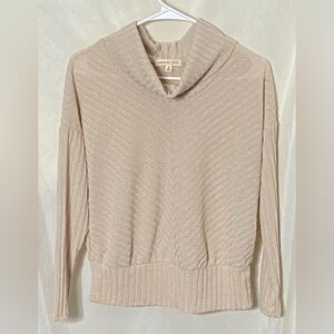 Parallel Skies Thin Ribbed Knit Cowl Neck Pullover Sweater